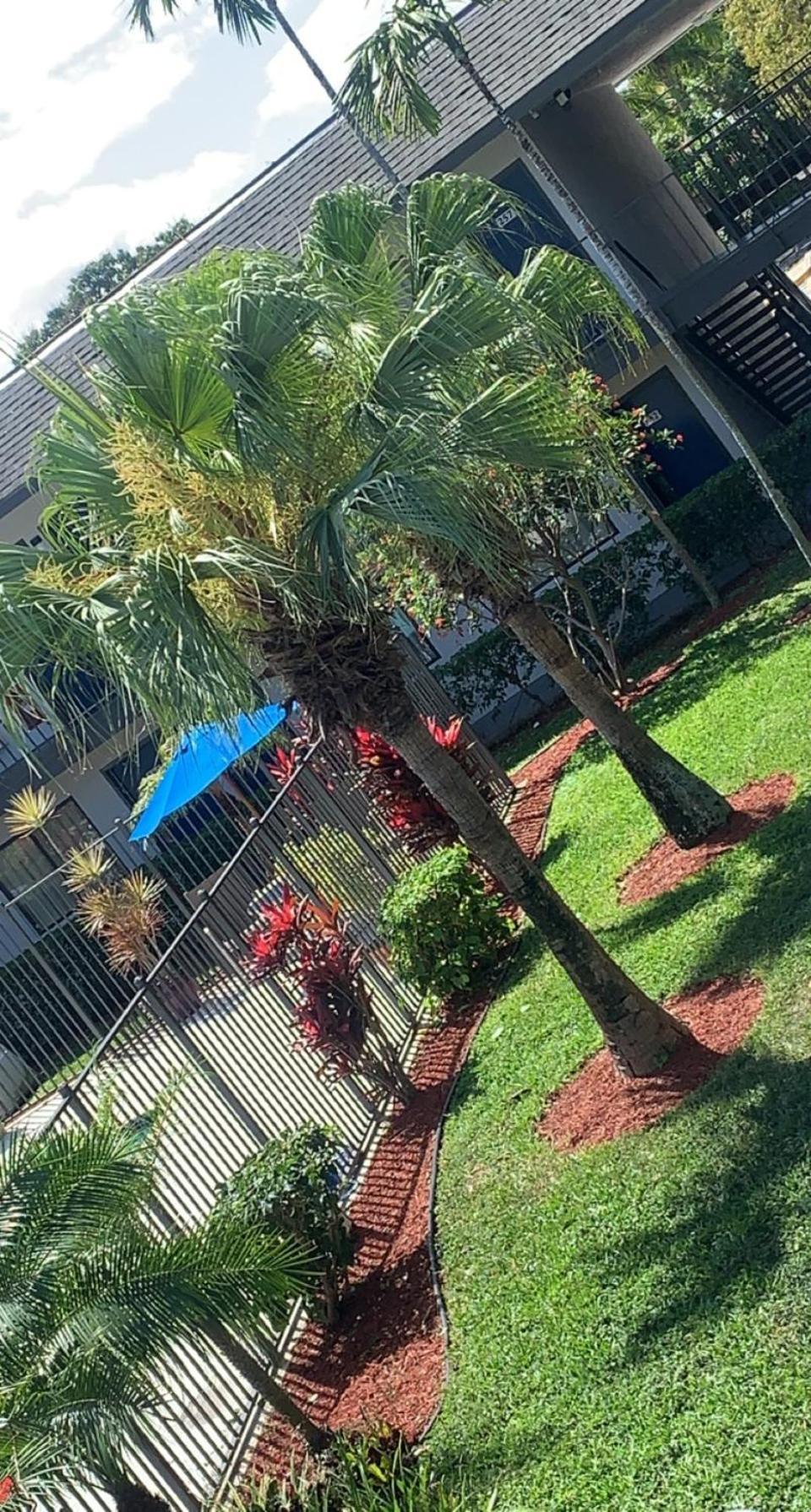 Motel 6-Lantana West Palm Beach, Fl Exterior foto